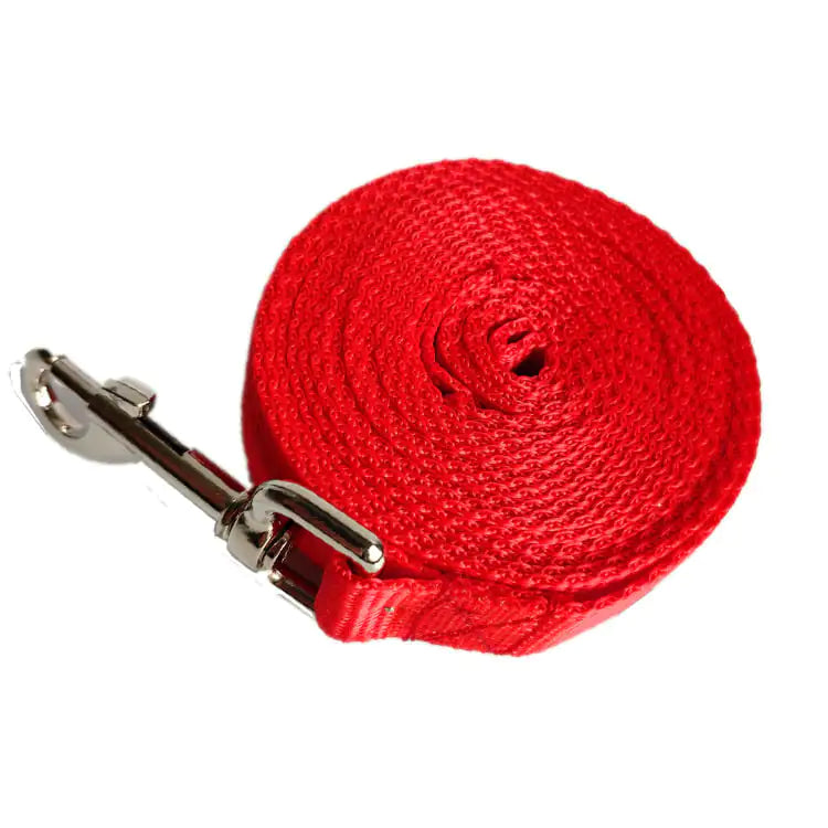 Laisse pour Chien Longue et Large de 2,5CM