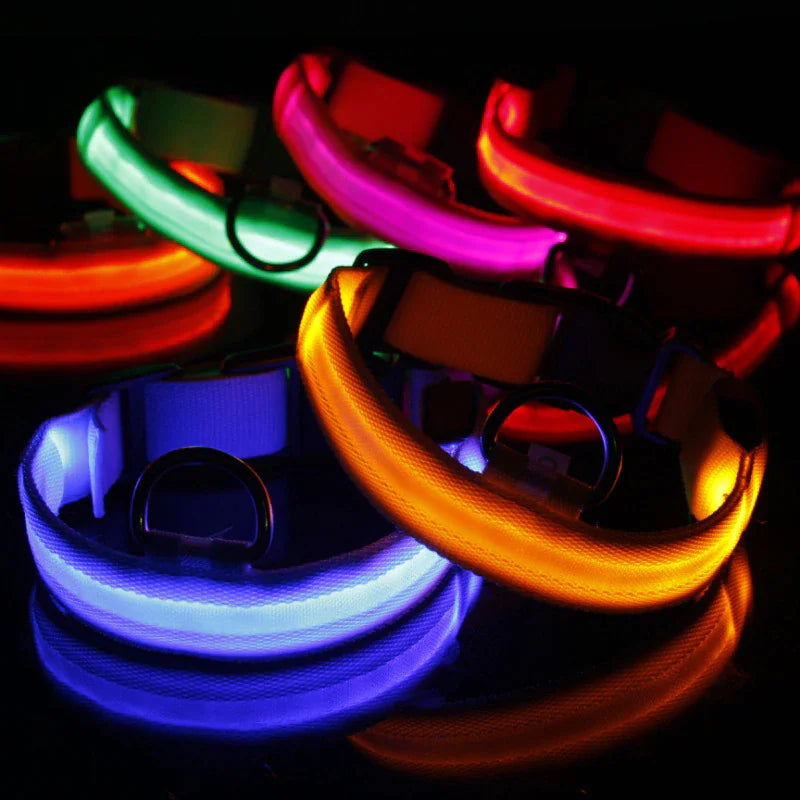 Collier réglable LED pour chien clignotant à lumière clignotante avec sécurité imperméable
