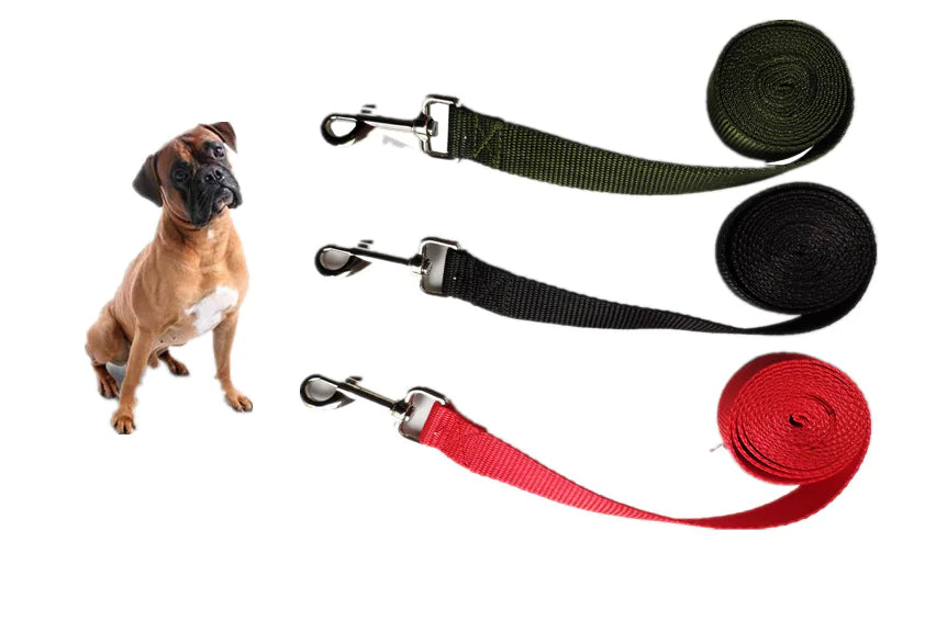 Laisse pour Chien Longue et Large de 2,5CM
