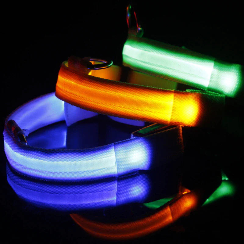Collier réglable LED pour chien clignotant à lumière clignotante avec sécurité imperméable