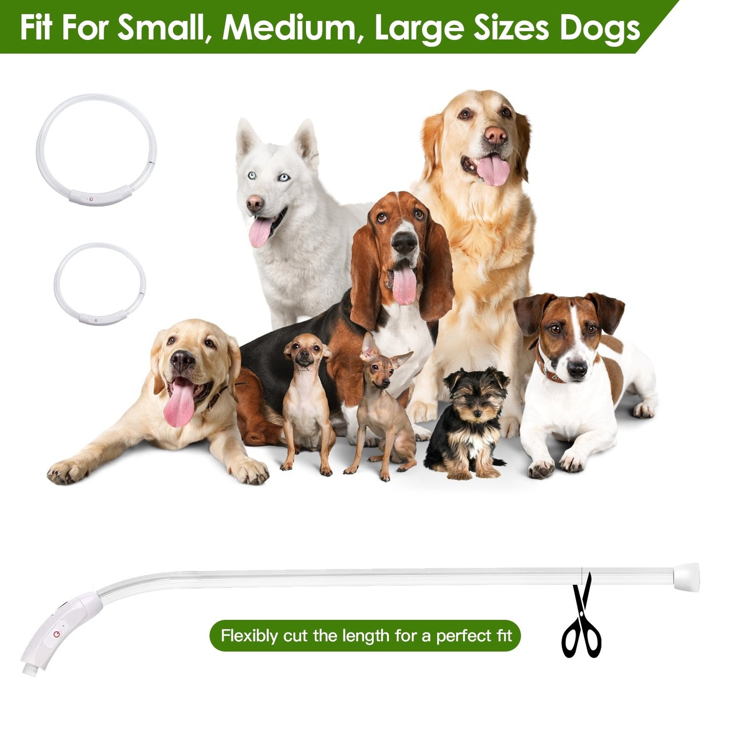 Collier de sécurité LED rechargeable par USB pour chien, éclairage multicolore, longueur découpable, pour petits, moyens et grands chiens, idéal pour les promenades nocturnes.
