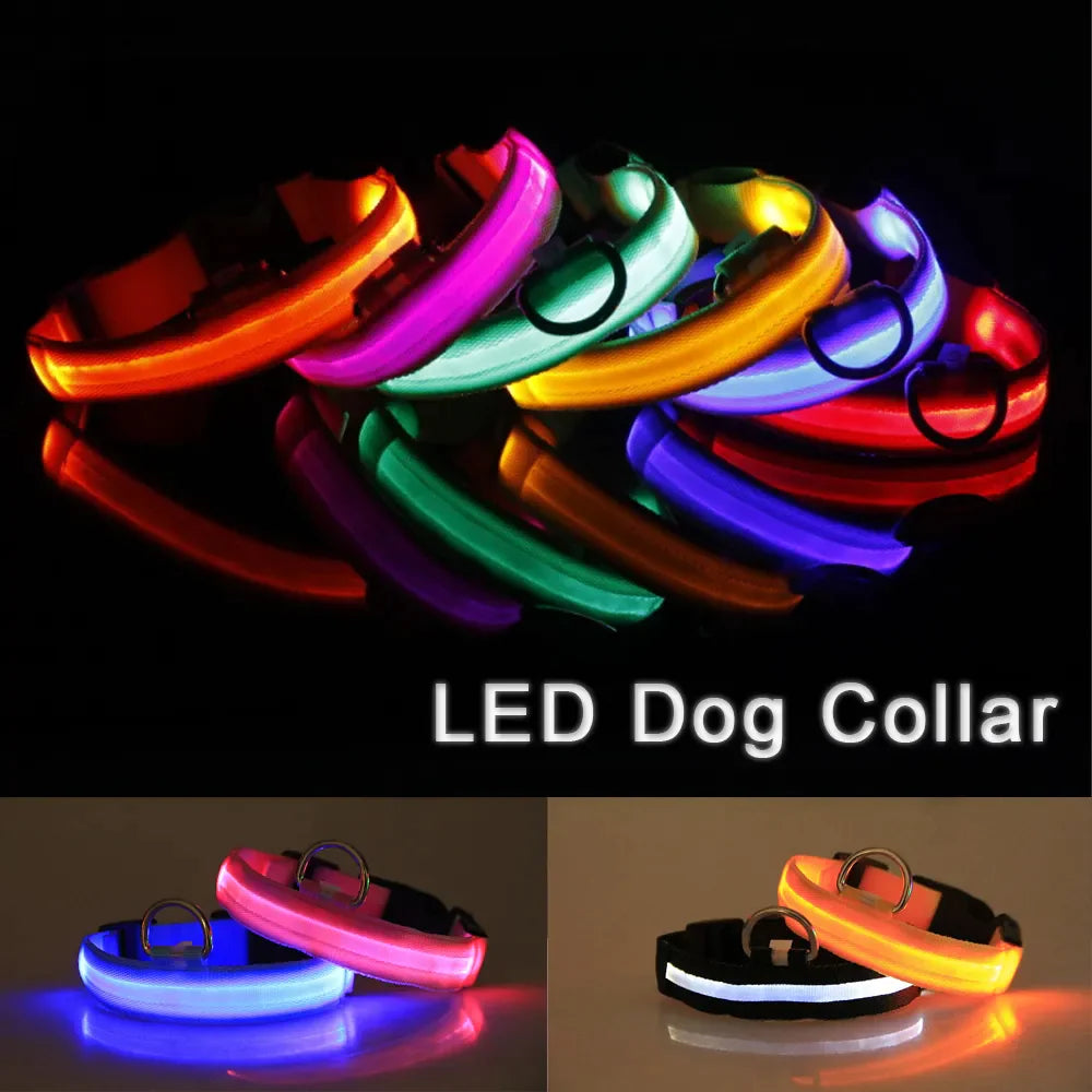 Collier réglable LED pour chien clignotant à lumière clignotante avec sécurité imperméable