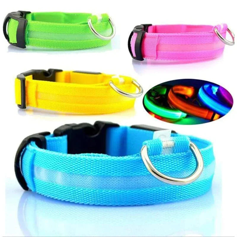 Collier réglable LED pour chien clignotant à lumière clignotante avec sécurité imperméable