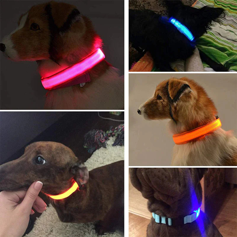 Collier réglable LED pour chien clignotant à lumière clignotante avec sécurité imperméable