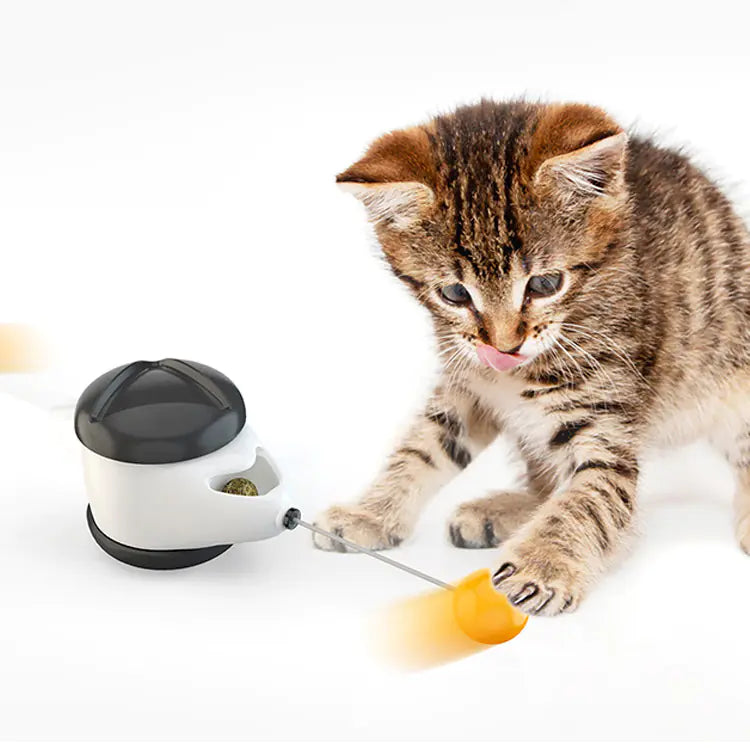 Nouveau Jouet Oscillant pour Chats avec Distributeur de Friandises