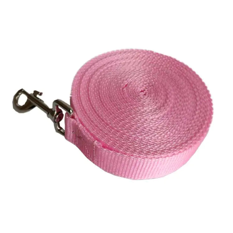 Laisse pour Chien Longue et Large de 2,5CM