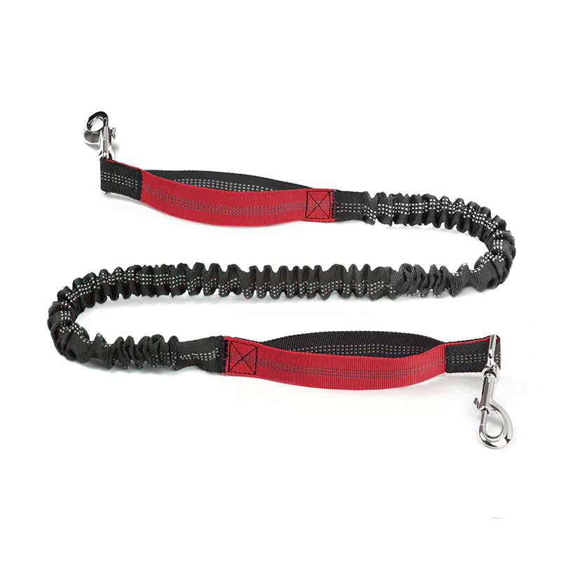 Sac banane de course transfrontalier pour animaux de compagnie avec laisse
