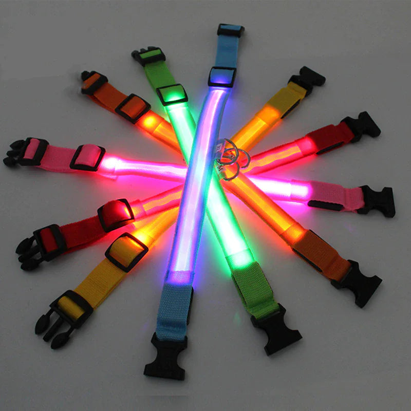 Collier réglable LED pour chien clignotant à lumière clignotante avec sécurité imperméable