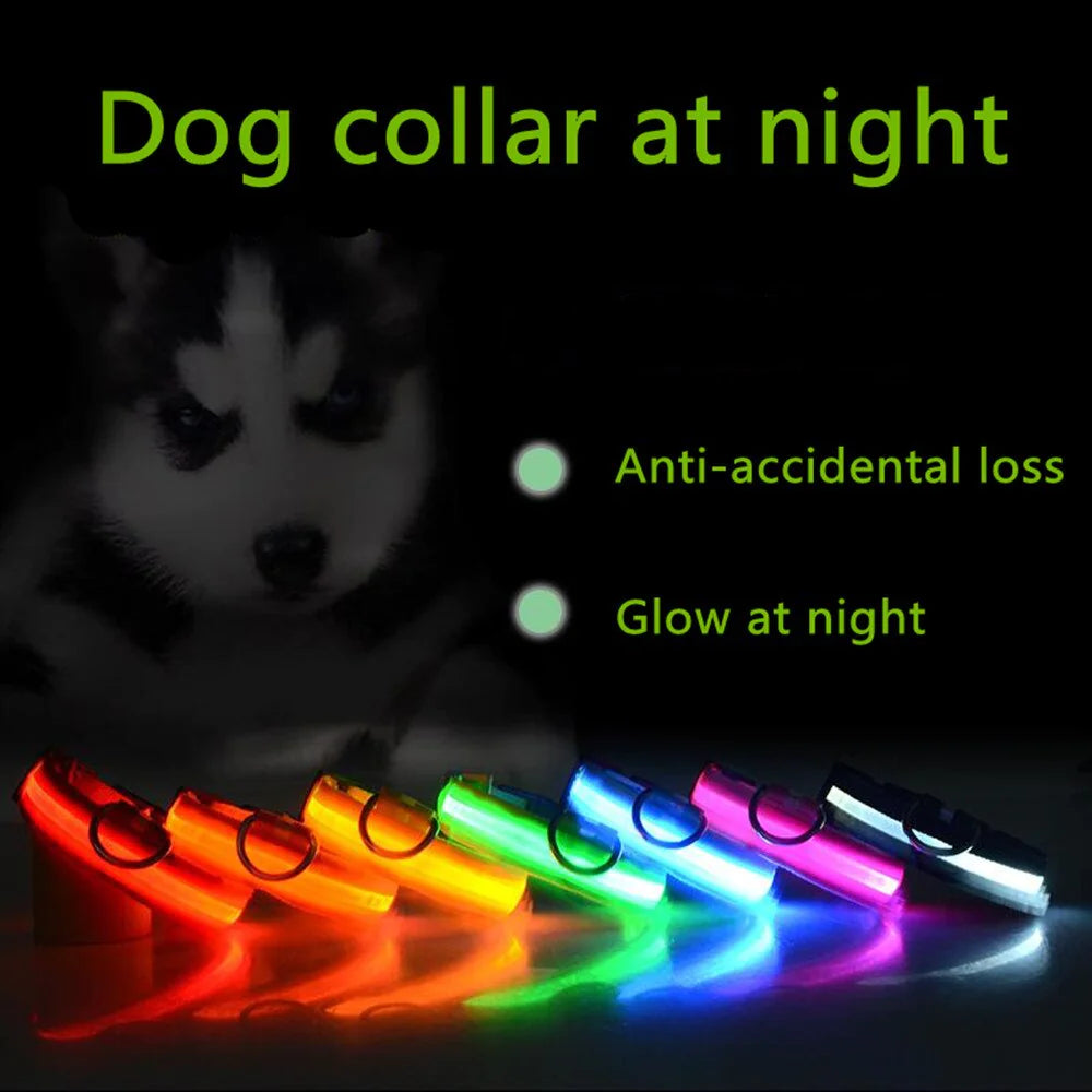 Collier réglable LED pour chien clignotant à lumière clignotante avec sécurité imperméable