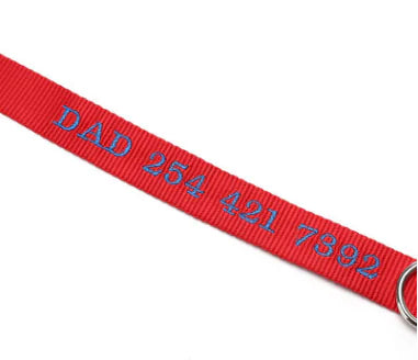 Collier pour Chien avec Protection Anti-Perte et Design Brodé