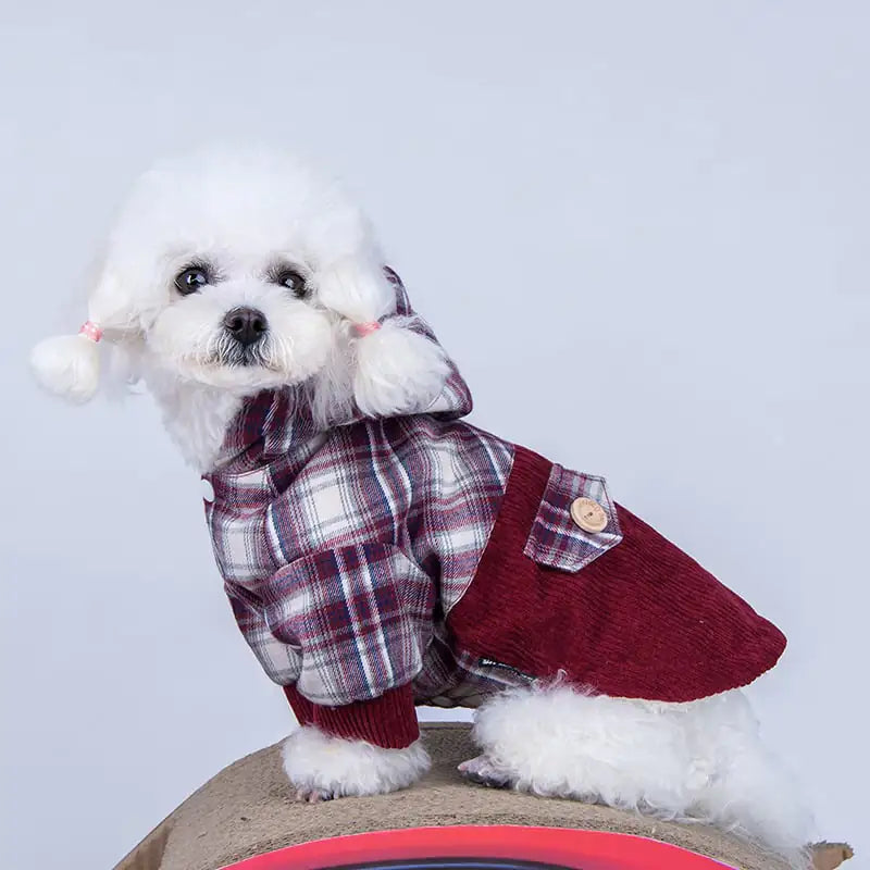 Manteau en Cachemire pour Petit Chien Pomeranian Teddy VIP