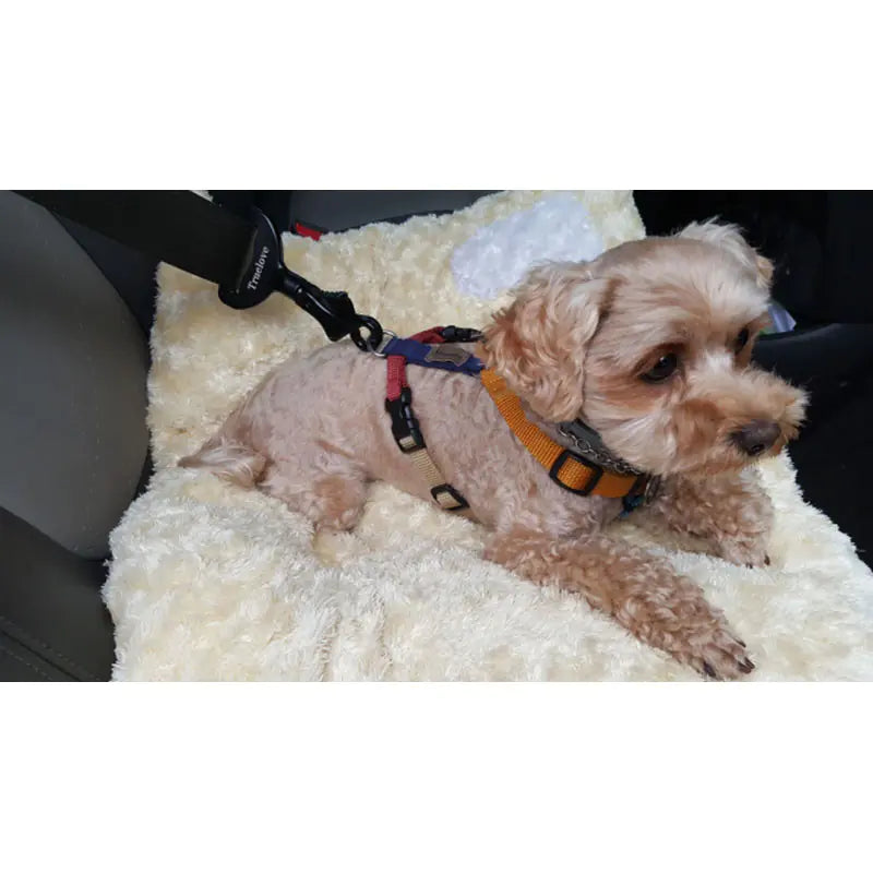 Ceinture de Sécurité pour Chiens - Accessoires de Voyage en Voiture