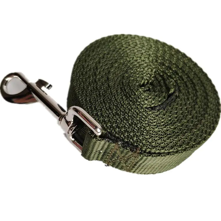 Laisse pour Chien Longue et Large de 2,5CM