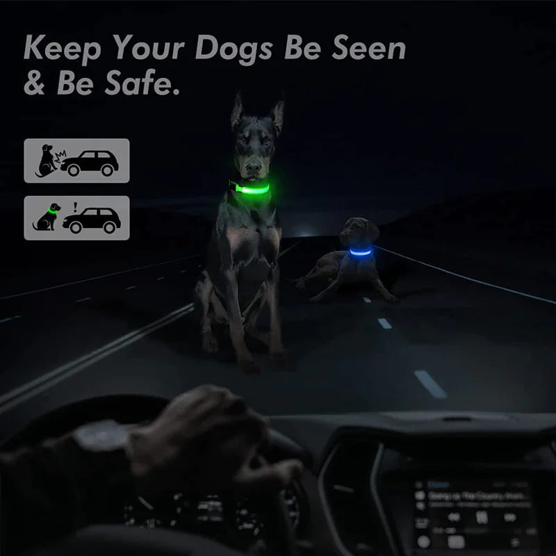 Collier réglable LED pour chien clignotant à lumière clignotante avec sécurité imperméable