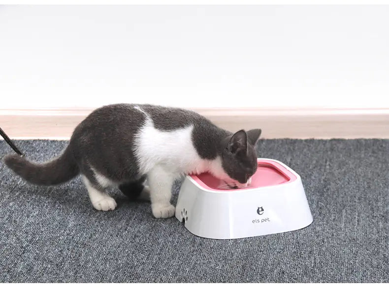 Gamelle d'Eau et de Nourriture pour Animaux
