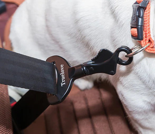 Ceinture de Sécurité pour Chiens - Accessoires de Voyage en Voiture