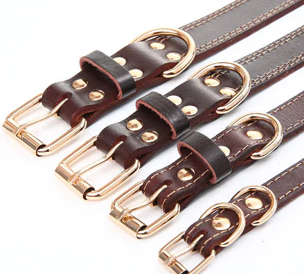 Collier de traction en cuir pour chiens