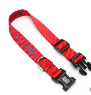 Collier pour Chien avec Protection Anti-Perte et Design Brodé
