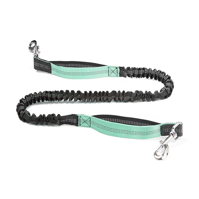 Sac banane de course transfrontalier pour animaux de compagnie avec laisse