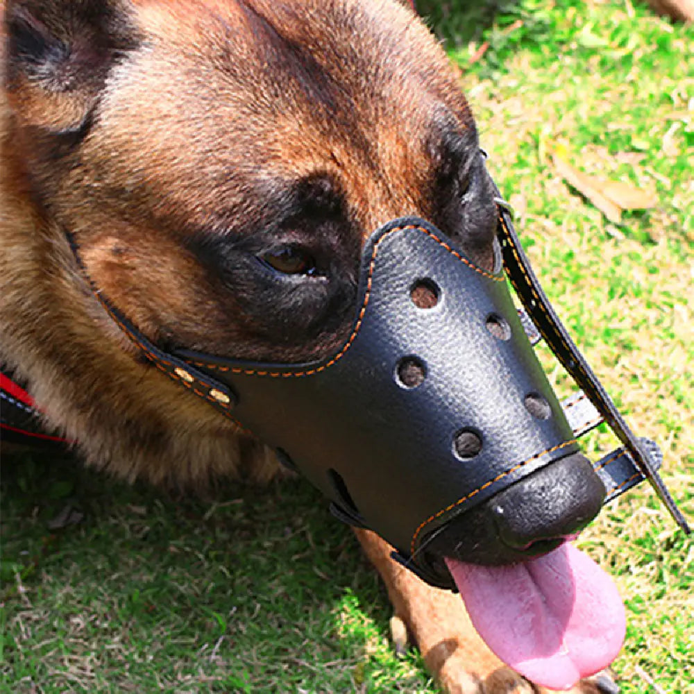 Muselière Ajustable Anti-Morsure pour Chiens