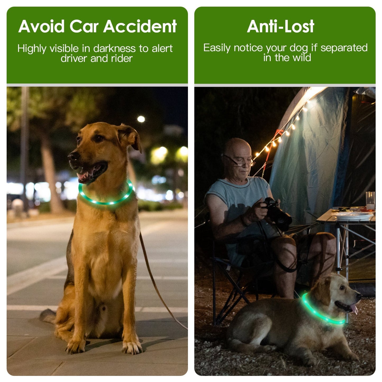 Collier de sécurité LED rechargeable par USB pour chien, éclairage multicolore, longueur découpable, pour petits, moyens et grands chiens, idéal pour les promenades nocturnes.