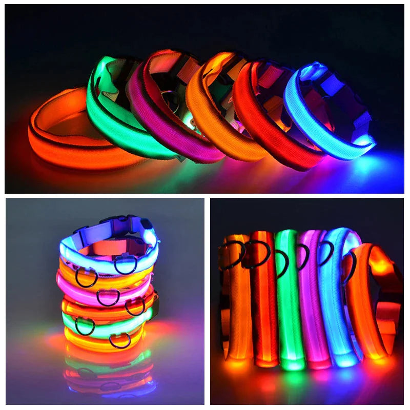 Collier réglable LED pour chien clignotant à lumière clignotante avec sécurité imperméable
