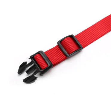 Collier pour Chien avec Protection Anti-Perte et Design Brodé