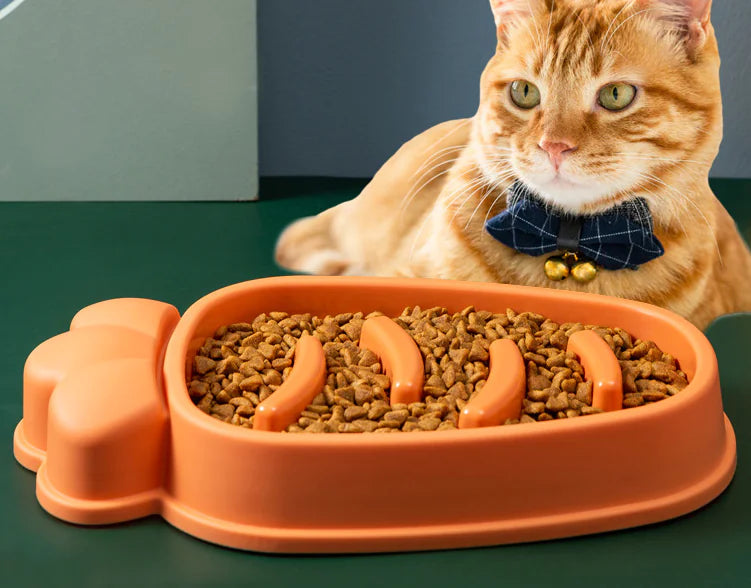 Bol pour chiens de grande taille à alimentation lente - Conception anti-étouffement