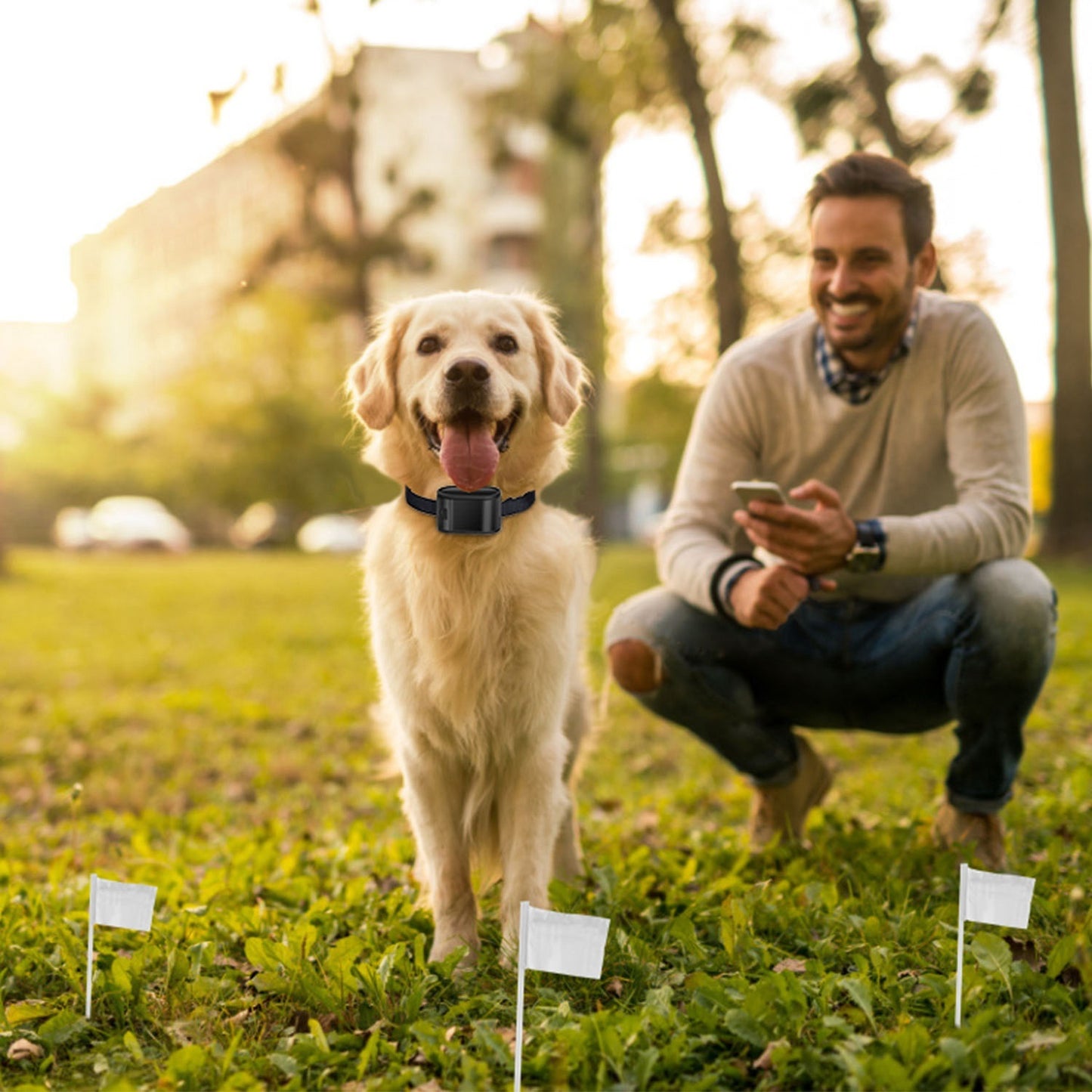 1 ensemble de clôture électrique pour chien, système de tonalité pour animaux de compagnie, limite de confinement, collier récepteur résistant à l'eau pour chiens de petite, moyenne et grande taille