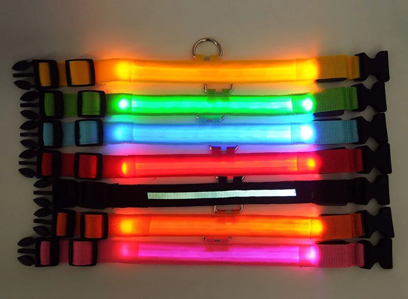 Collier réglable LED pour chien clignotant à lumière clignotante avec sécurité imperméable