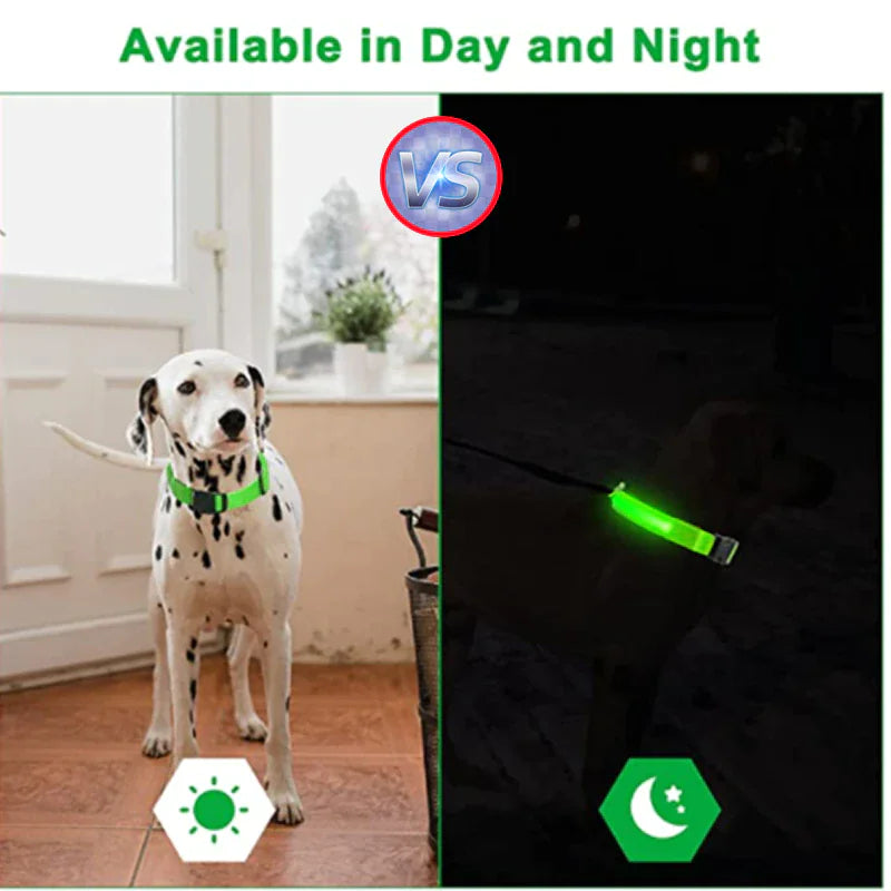 Collier réglable LED pour chien clignotant à lumière clignotante avec sécurité imperméable