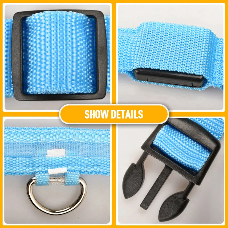 Collier réglable LED pour chien clignotant à lumière clignotante avec sécurité imperméable