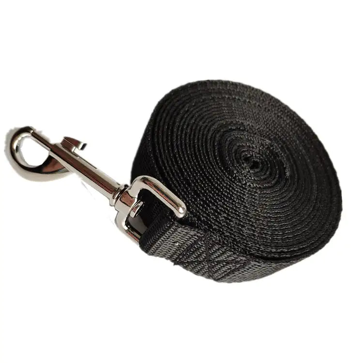 Laisse pour Chien Longue et Large de 2,5CM