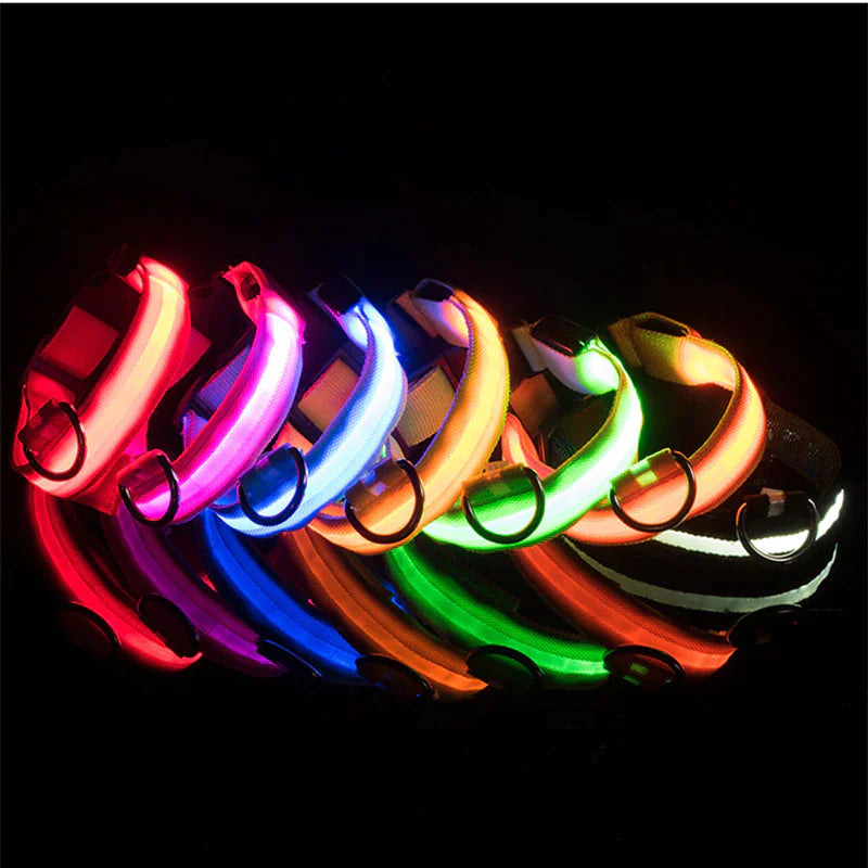 Collier réglable LED pour chien clignotant à lumière clignotante avec sécurité imperméable