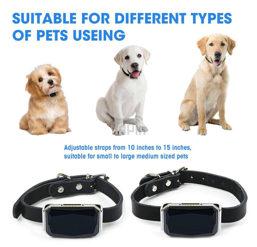 Dispositif de localisation de suivi pour animaux de compagnie pour la sécurité