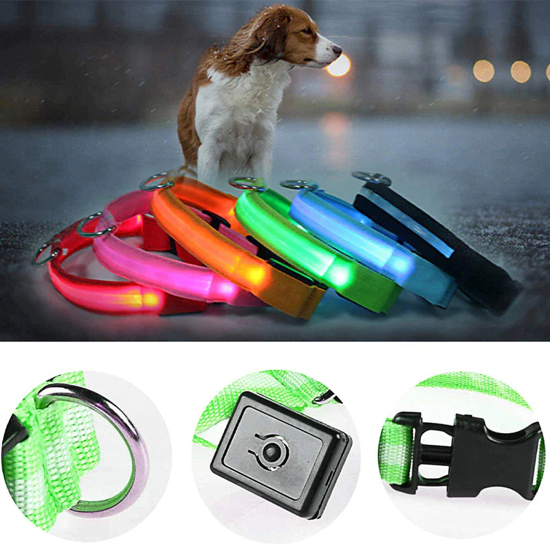 Collier réglable LED pour chien clignotant à lumière clignotante avec sécurité imperméable