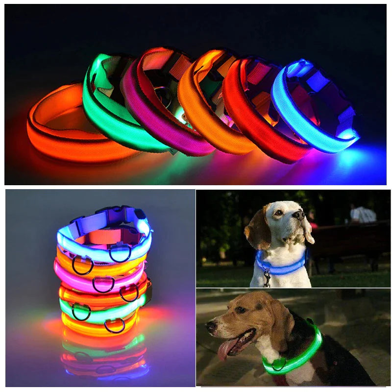 Collier réglable LED pour chien clignotant à lumière clignotante avec sécurité imperméable
