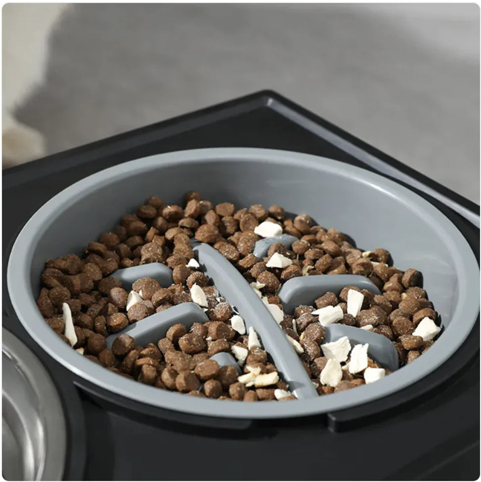 Bol pour Chien à Alimentation Lente surélevé