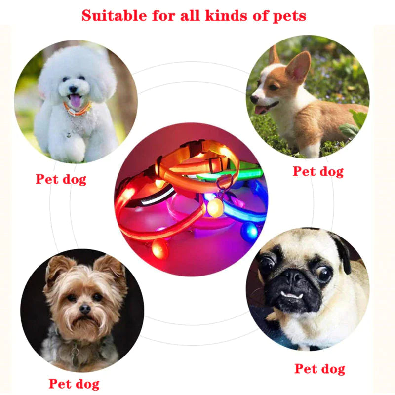 Collier réglable LED pour chien clignotant à lumière clignotante avec sécurité imperméable