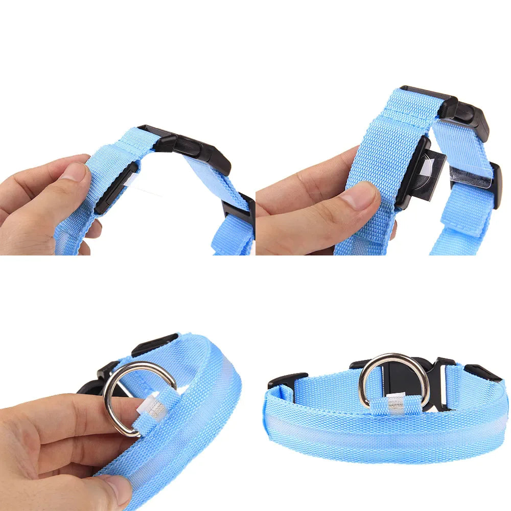 Collier réglable LED pour chien clignotant à lumière clignotante avec sécurité imperméable