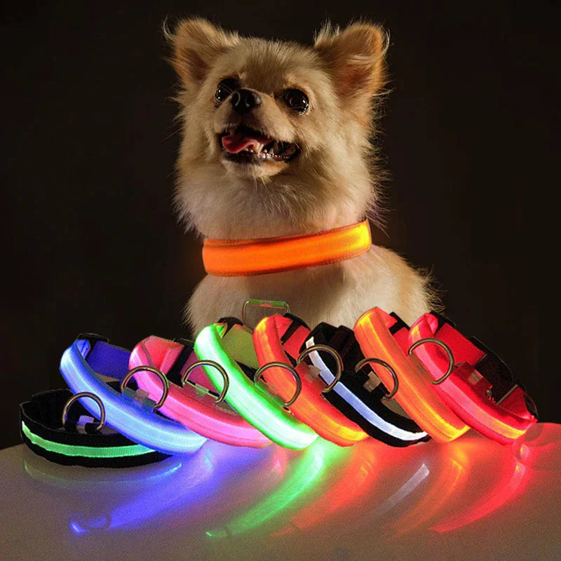 Collier réglable LED pour chien clignotant à lumière clignotante avec sécurité imperméable