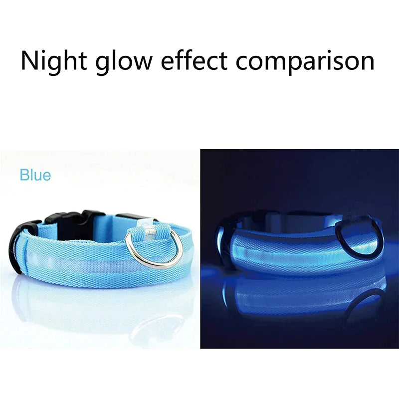 Collier réglable LED pour chien clignotant à lumière clignotante avec sécurité imperméable