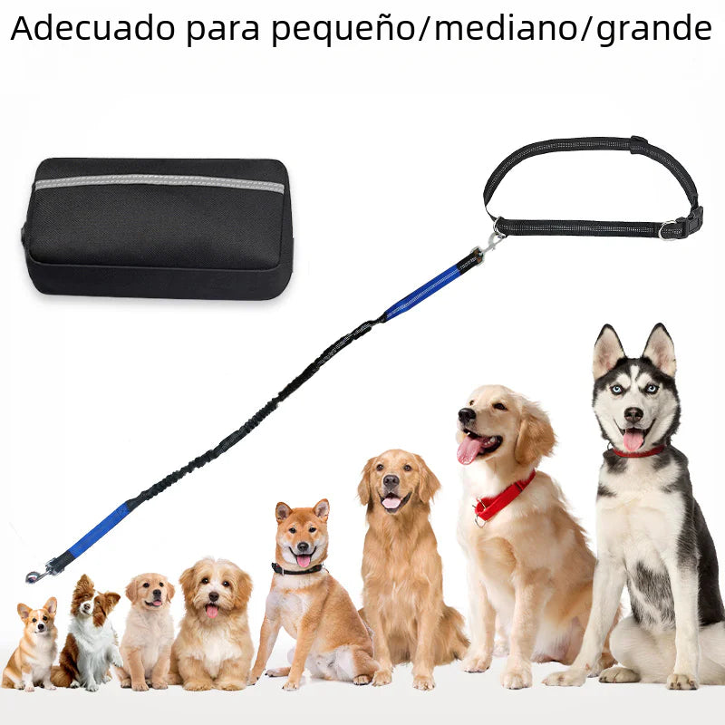 Sac banane de course transfrontalier pour animaux de compagnie avec laisse
