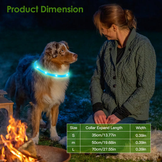 Collier de sécurité LED rechargeable par USB pour chien, éclairage multicolore, longueur découpable, pour petits, moyens et grands chiens, idéal pour les promenades nocturnes.