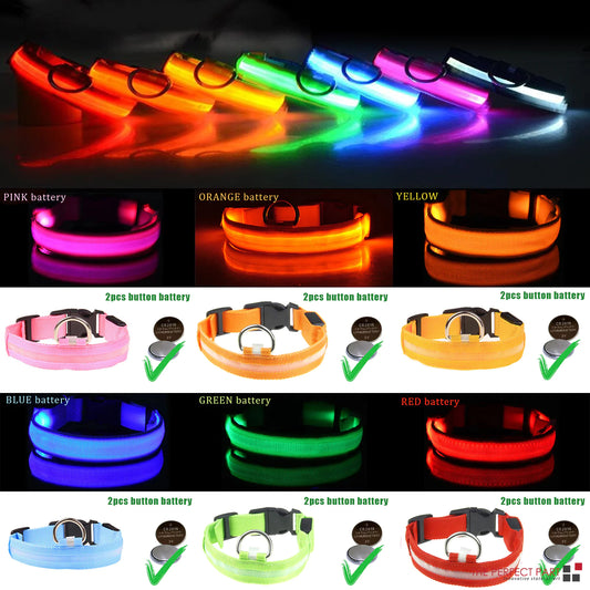 Collier réglable LED pour chien clignotant à lumière clignotante avec sécurité imperméable