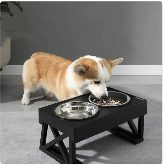 Bol pour Chien à Alimentation Lente surélevé