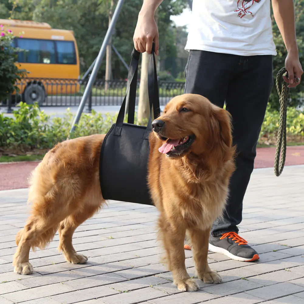 Harnais de soutien pour chiens blessés (Petit à Grand)