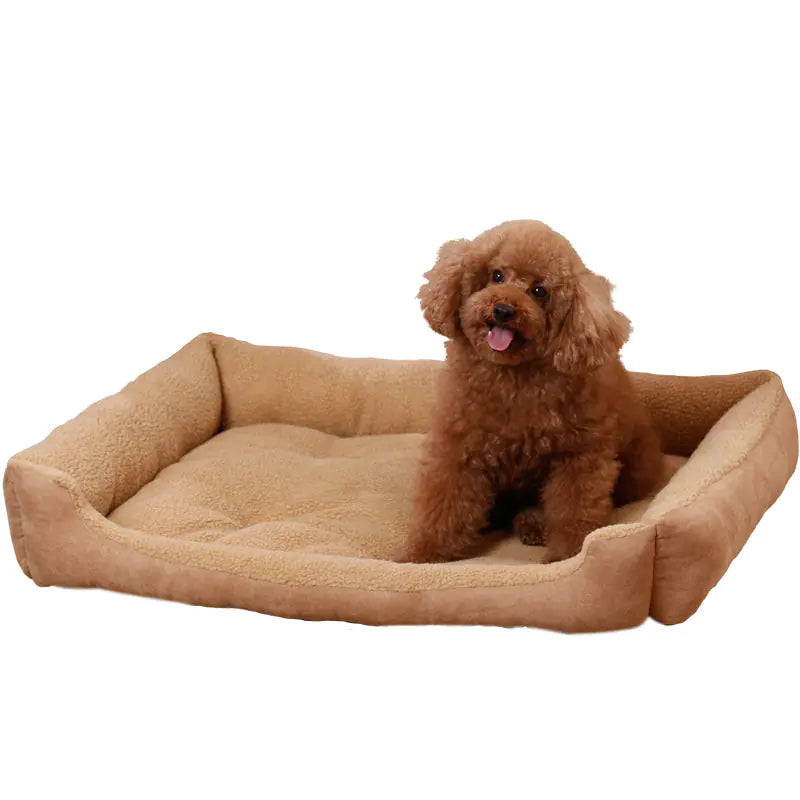 Lit et Maison pour Animaux Teddy Golden Retriever