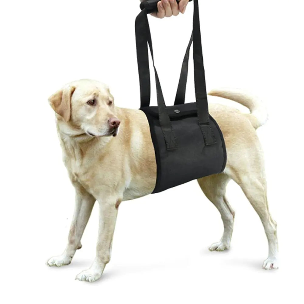 Harnais de soutien pour chiens blessés (Petit à Grand)