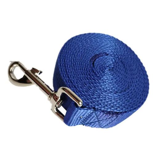 Laisse pour Chien Longue et Large de 2,5CM